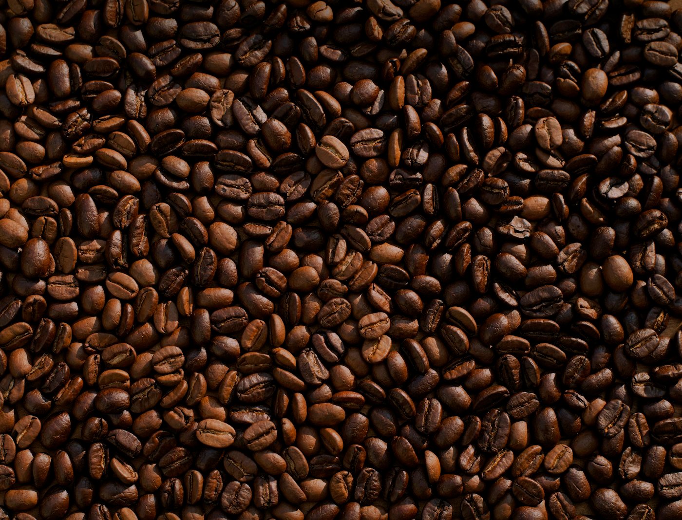 Granos de café de especialidad