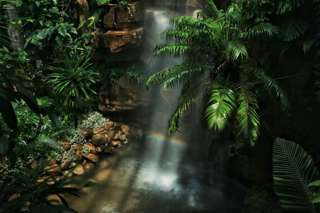 Cascadas en la selva